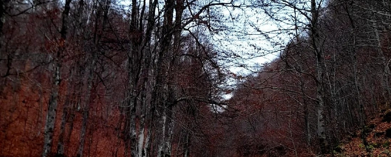 Δύο Ποτάμια Φθινόπωρο