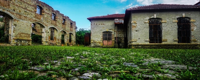 «Χρυσαλλίς» κτίρια