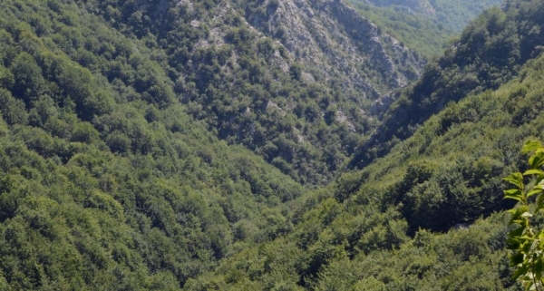 Πάικο Όρος θέα