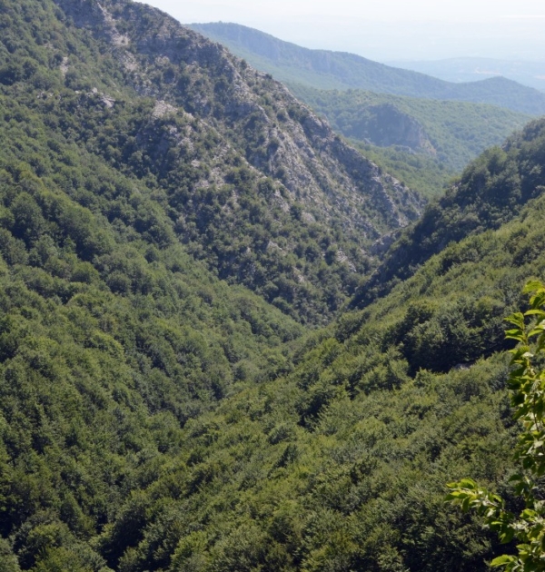 Πάικο Όρος θέα Πάικο Όρος θέα