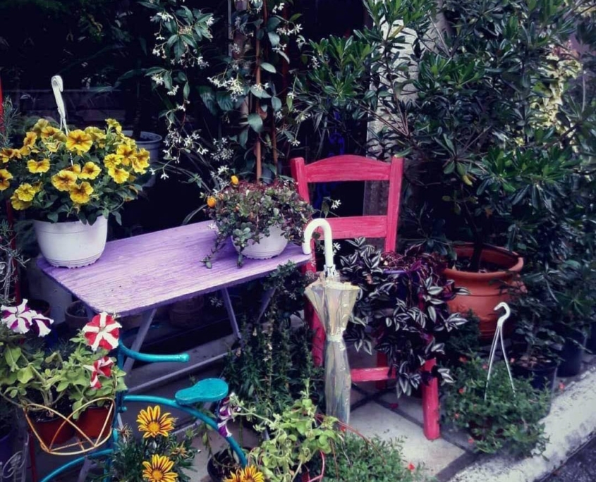 Iris Flowers Ανθοστολισμοί-Είδη διακόσμησης-Αρώματα τύπου