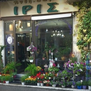 Iris Flowers Ανθοστολισμοί-Είδη διακόσμησης-Αρώματα τύπου